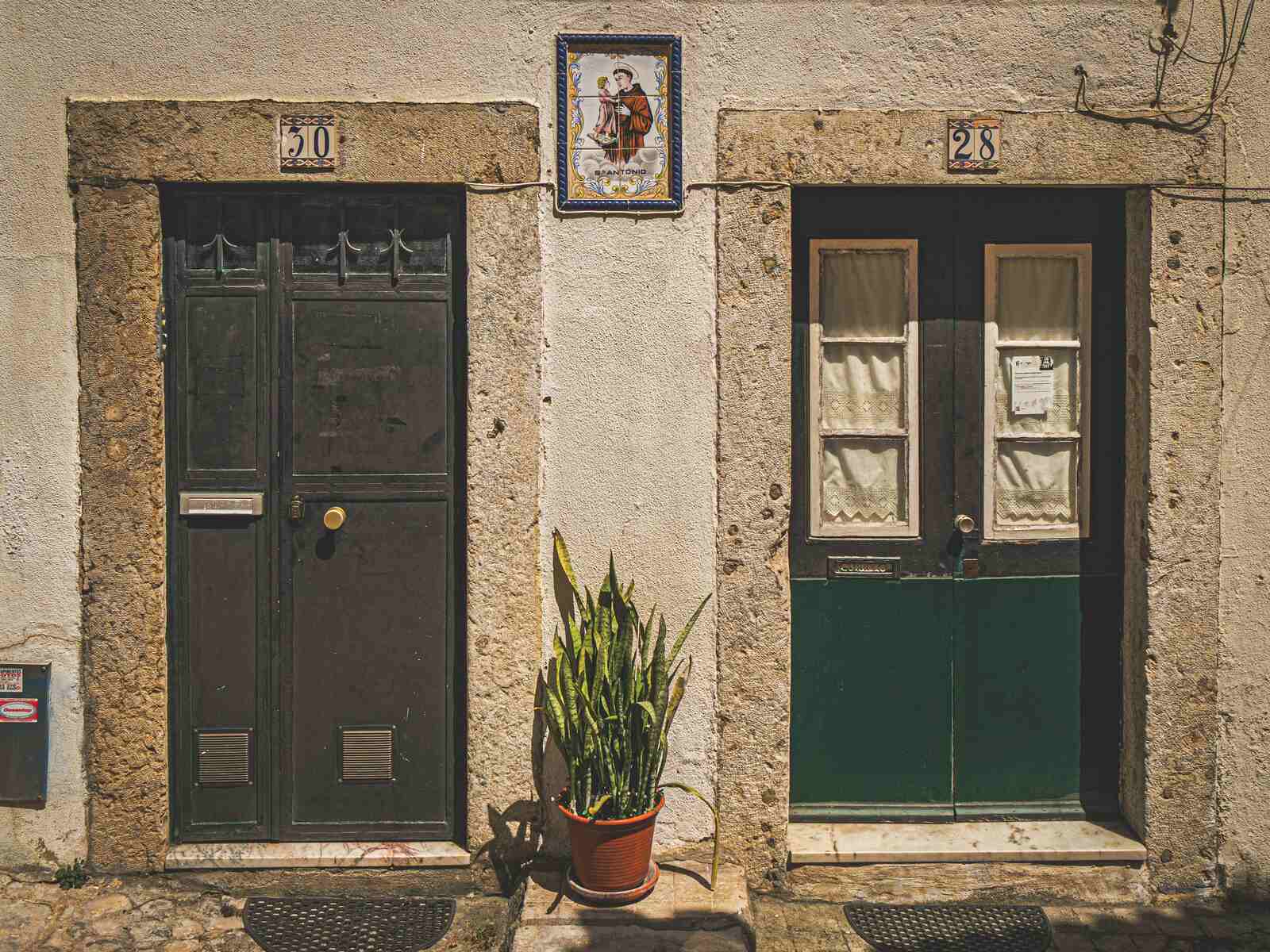 Front doors of neighbouring terraced houses