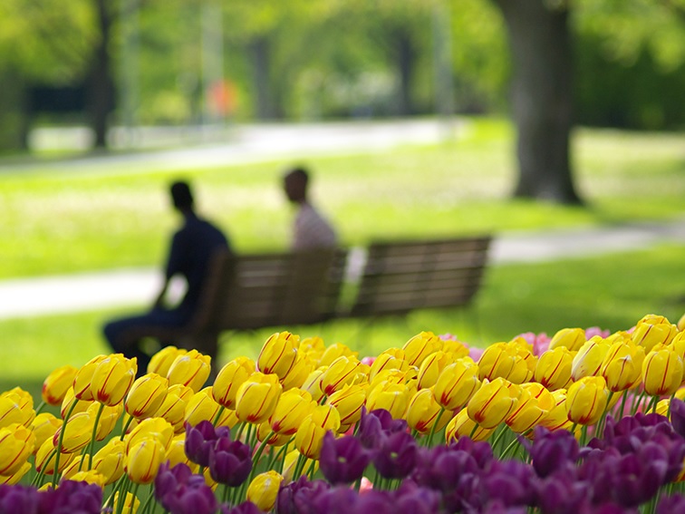 Hampshire Family Mediation